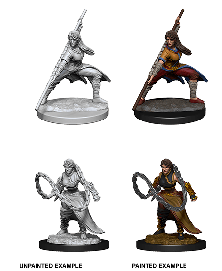 Nolzur'S MARVELOUS Miniatures Dungeons & Dragons Nano Fighter-Donna Nuovo 