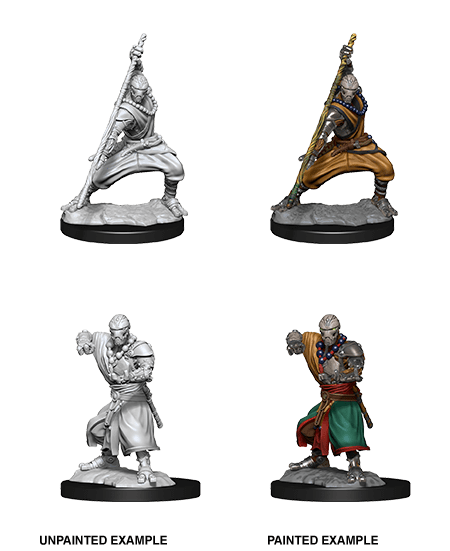 Dungeons & Dragons Nolzurs Marvelous Unpainted Miniatures Wave 10 Female Half-Elf Monk